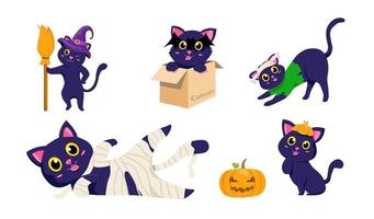 halloween zwarte kattenbeeldverhaal. set van griezelige kat en pompoen vector