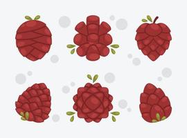 set van dennenappel icoon vector