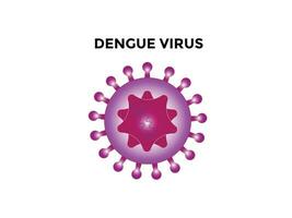 dengue virus. dengue virus dev is de oorzaak van dengue koorts. het is een door muggen overgedragen, single positief gestrand rna virus. virion omvat rna strengen, eiwitten, en enveloppen. vector