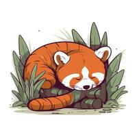 schattig rood panda slapen in de oerwoud. vector illustratie.