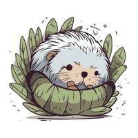 schattig hamster slapen Aan een groen kool. vector illustratie.