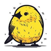 vector illustratie van een schattig weinig geel vogel Aan een wit achtergrond.