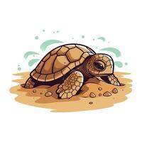 schildpad vector illustratie geïsoleerd Aan wit achtergrond. schattig tekenfilm schildpad.