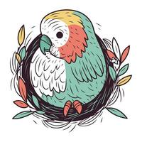 schattig papegaai in de nest. hand- getrokken vector illustratie.