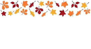 vectorbanner met kleurrijke herfstbladeren vector