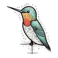 kleurrijk vector hand- getrokken illustratie van een colibri vogel.