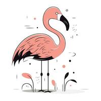 flamingo. vector illustratie. geïsoleerd Aan wit achtergrond.