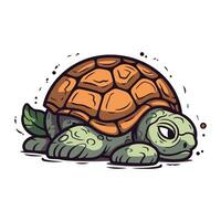 tekenfilm schildpad Aan een wit achtergrond. vector illustratie van een schildpad.