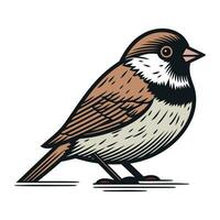 mus vogel geïsoleerd Aan wit achtergrond. vector hand- getrokken illustratie.