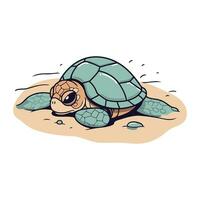 tekenfilm schildpad Aan de zand. vector illustratie van een zee dier.