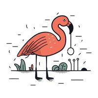 flamingo vogel. vector illustratie in tekening stijl.