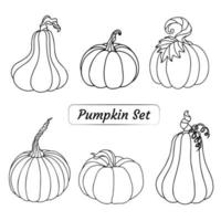 een set met pompoenen voor de herfst of halloween vector