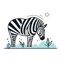 zebra. vector illustratie in vlak lineair stijl Aan wit achtergrond.