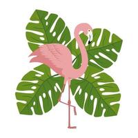 flamingo roze dier met bladeren aard vector