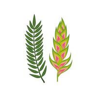 bloem heliconia met tak en bladeren geïsoleerde icon vector