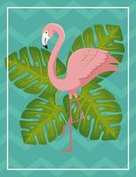 flamingo roze dier met bladeren aard vector