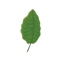 blad natuur tropische geïsoleerde icon vector
