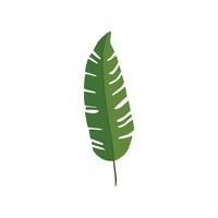 blad natuur tropische geïsoleerde icon vector