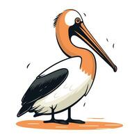 pelikaan vector illustratie. tekenfilm pelikaan geïsoleerd Aan wit achtergrond.