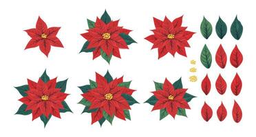 reeks van kerstster bloem en haar bloemblaadjes en bladeren. Mexicaans kerstster fabriek met rood scharlaken schutbladen omgeving de klein geel bloemen. een populair kamerplant voor Kerstmis of nieuw jaar. vector