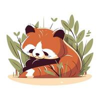 rood panda slapen Aan de grond. schattig tekenfilm vector illustratie.