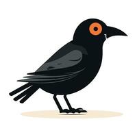 kraai. vector illustratie van een zwart vogel Aan een wit achtergrond.