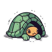 schattig tekenfilm schildpad. vector illustratie geïsoleerd Aan een wit achtergrond.