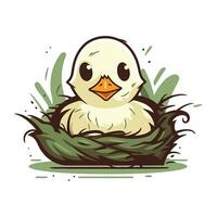 vector illustratie van een schattig weinig kuiken in een nest Aan wit achtergrond