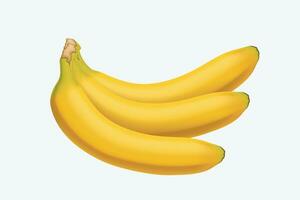 afbeelding van banaan vector