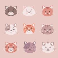 schattige kattencollectie. katten gezichten, huisdieren, kittens, schattige dieren. vector