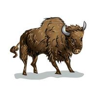 bizon vector illustratie
