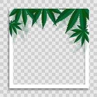 lege fotolijstsjabloon met cannabisbladeren vector