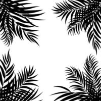 mooie palmboom blad silhouet achtergrond vectorillustratie vector