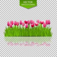 florale achtergrond met tulpen vector