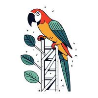 papegaai zittend Aan een ladder. vector illustratie in tekenfilm stijl.