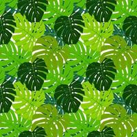 palmblad naadloze patroon achtergrond vectorillustratie vector
