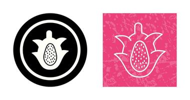 draak fruit vector icoon