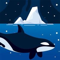 orka walvis noordpool dier en ijsberg nachtelijke hemel vector