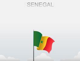 vlag van senegal die onder de witte hemel vliegt vector