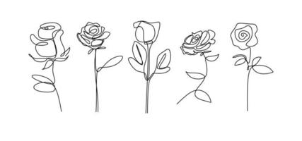roze bloem doorlopende lijntekening enkele hand getekende set element vector