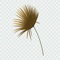 vector tropisch vertrekken beige bruin palm blad droog bloemen ontwerp