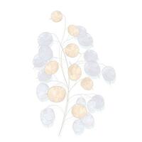 Lunaria vector voorraad illustratie. een breekbaar beige bloem. Afdeling element voor de uitnodiging. decoratief minimalistische element. boho. droog plantkunde. geïsoleerd Aan een wit achtergrond.