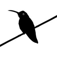 neergestreken kolibrie silhouet, kan gebruik kunst illustratie, website, logo gram, pictogram of grafisch ontwerp element. vector illustratie