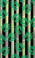bamboe boom vector vorm voor achtergrond ontwerp met zwart achtergrond.
