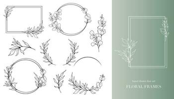 eucalyptus lijn kunst. bloemen kaders en boeketten lijn kunst. prima lijn eucalyptus kaders hand- getrokken illustratie. hand- trek schets bladeren en bloemen. botanisch kleur bladzijde. eucalyptus geïsoleerd vector