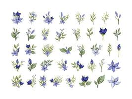 blauw bloemen kransen waterverf stijl. bloem met bladeren verzameling vector illustratie Aan wit achtergrond.