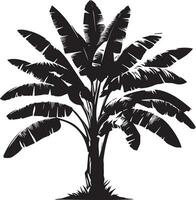 banaan boom vector silhouet illustratie zwart kleur