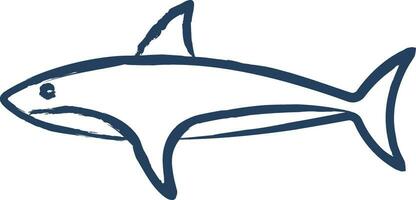 haai vis hand- getrokken vector illustratie