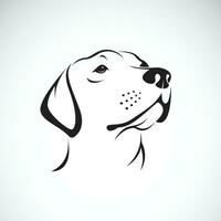 vector van een hond hoofd labrador retriever Aan wit achtergrond, huisdier. dieren.