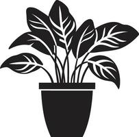 kalmte in monochroom botanisch tuin logo natuurlijk pottenbakkerij uitmuntendheid emblematisch symbool vector